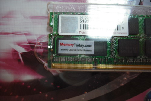 DSCF8500.JPG