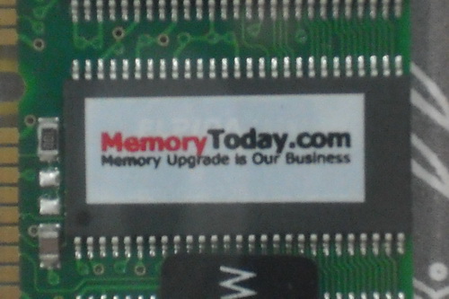DSCF8503.JPG