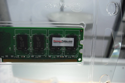 DSCF8511.JPG