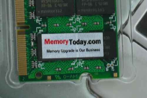 DSCF8524.JPG