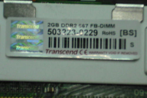 DSCF8552.JPG