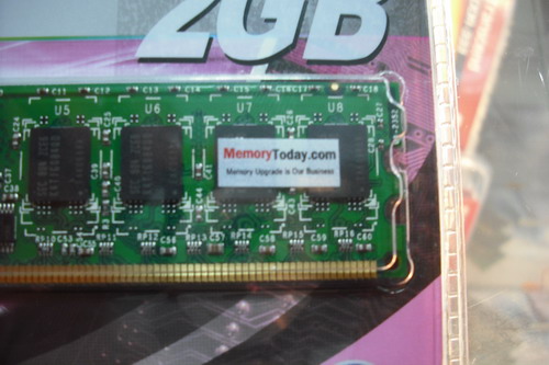 DSCF8563.JPG