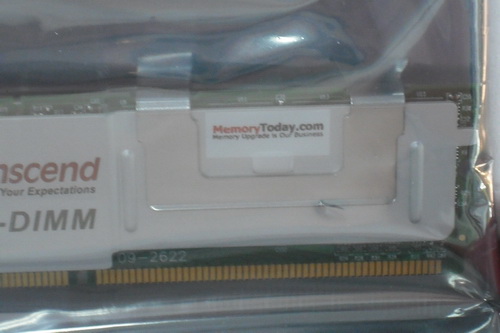 DSCF8564.JPG