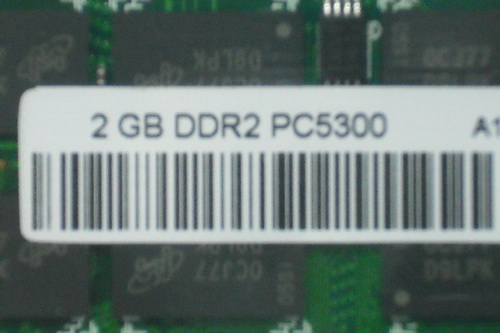 DSCF8572.JPG
