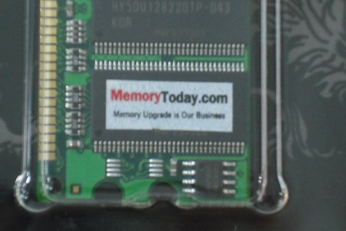 DSCF8579.JPG