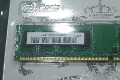 DSCF8643.JPG