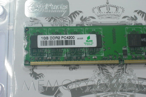 DSCF8660.JPG