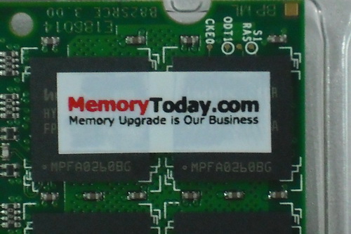 DSCF8670.JPG