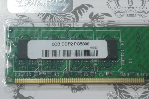 DSCF8675.JPG