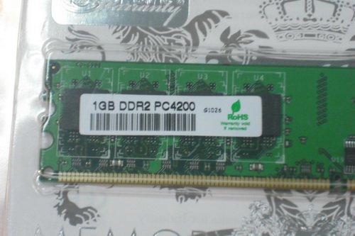 DSCF8786.JPG