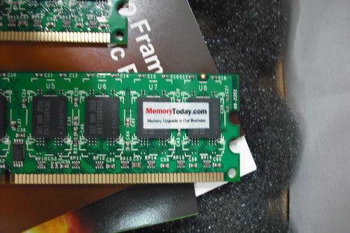 DSCF8801.JPG