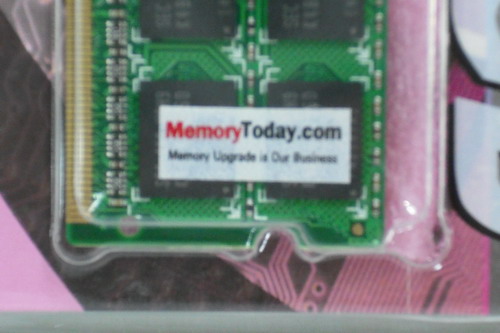 DSCF8811.JPG