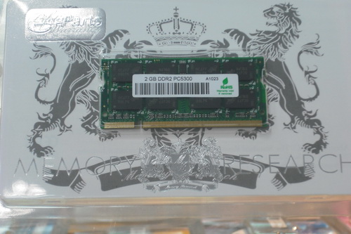 DSCF8816.JPG