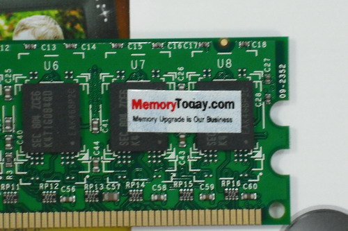 DSCF8825.JPG