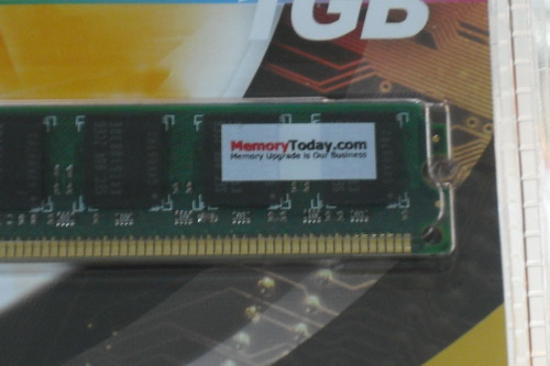 DSCF8842.JPG