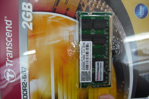 DSCF8913.JPG