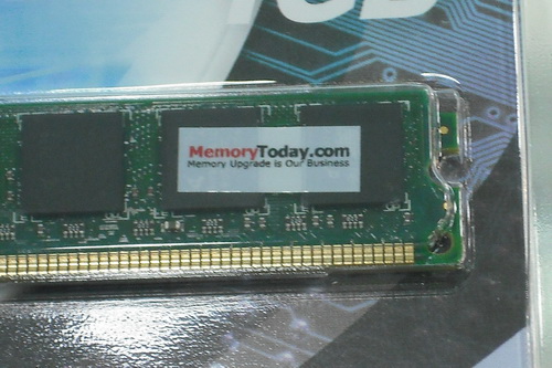 DSCF8971.JPG