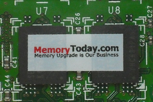 DSCF9035.JPG