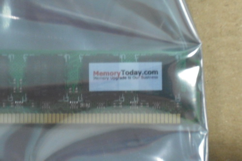 DSCF9067.JPG