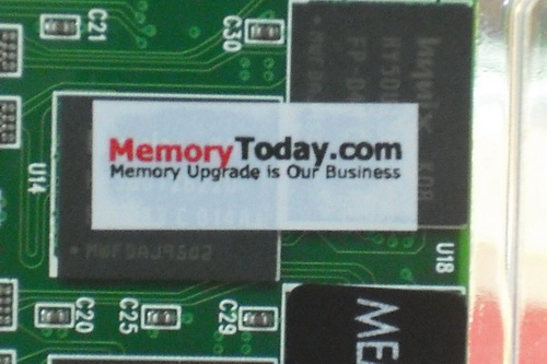 DSCF9136.JPG