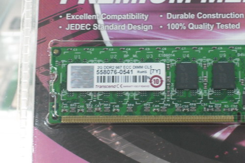 DSCF9376.JPG