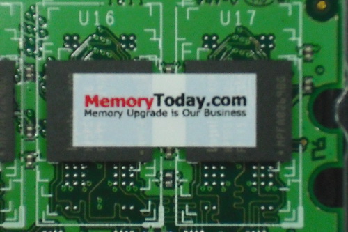 DSCF9461.JPG