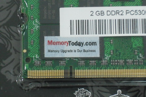 DSCF9488.JPG