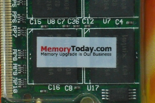 DSCF9534.JPG