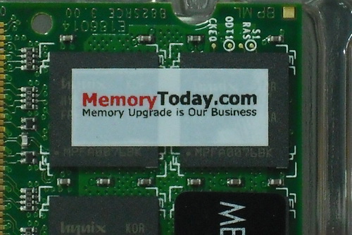 DSCF9539.JPG