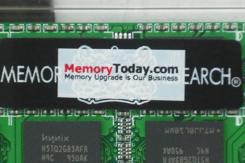 DSCF9550.JPG