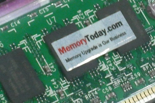 DSCF9555.JPG