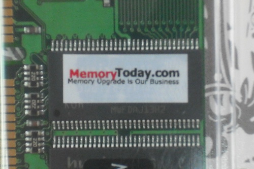 DSCF9561.JPG