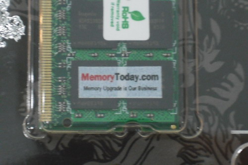DSCF9565.JPG