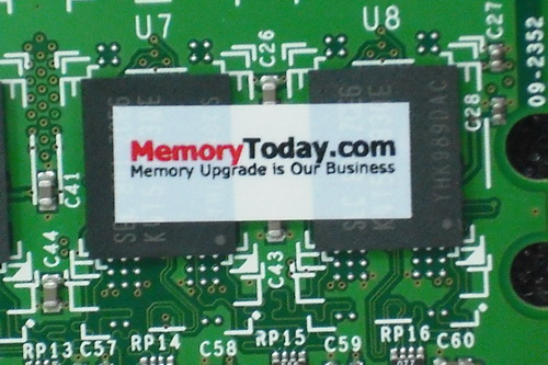 DSCF9569.JPG