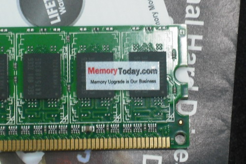 DSCF9703.JPG