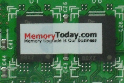 DSCF9795.JPG