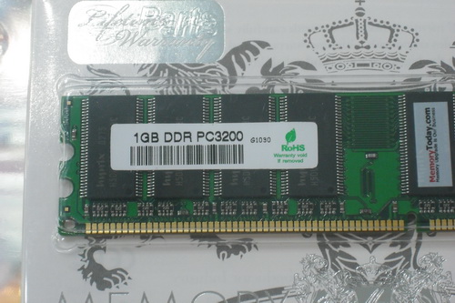DSCF9824.JPG