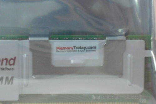DSCF9850.JPG