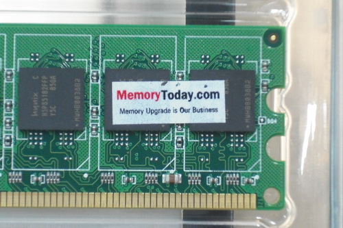 DSCF9856.JPG