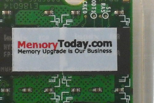 DSCF9865.JPG