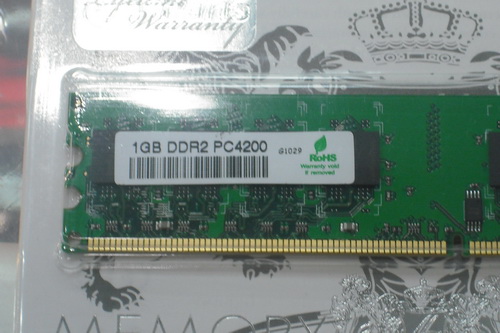 DSCF9891.JPG