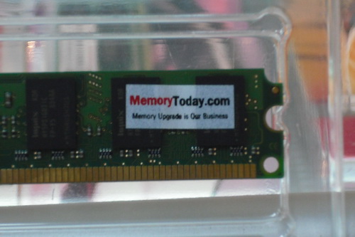 DSCF9898.JPG