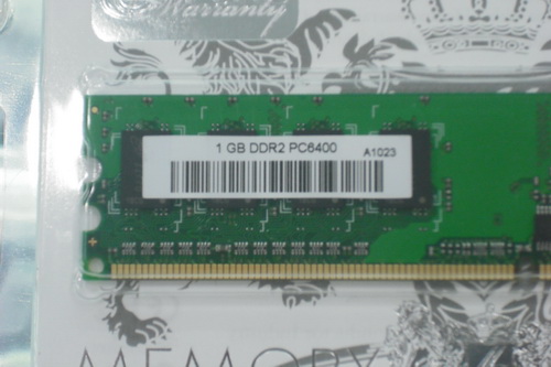 DSCF9971.JPG