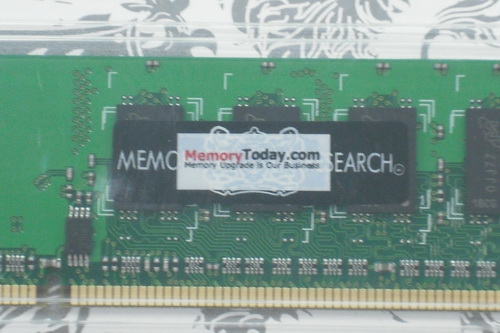 DSCF9973.JPG