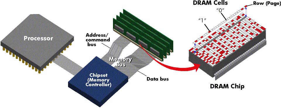 Figure 1.jpg