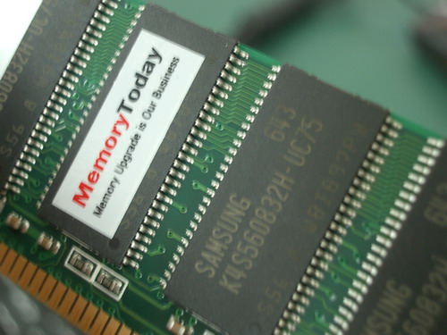 g-8453.JPG