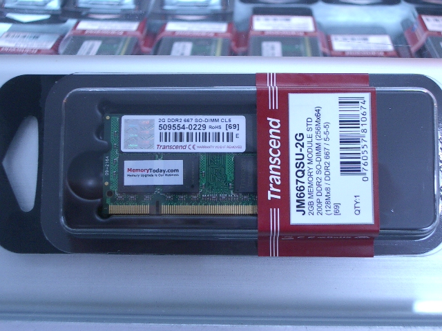 IMGP0006.JPG
