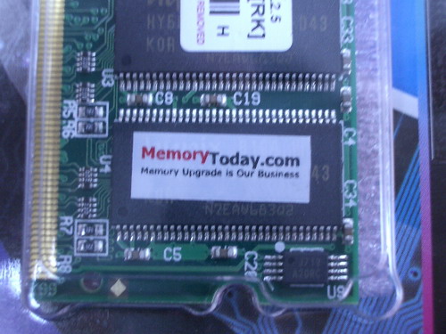 IMGP0122.JPG