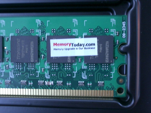 IMGP0131.JPG