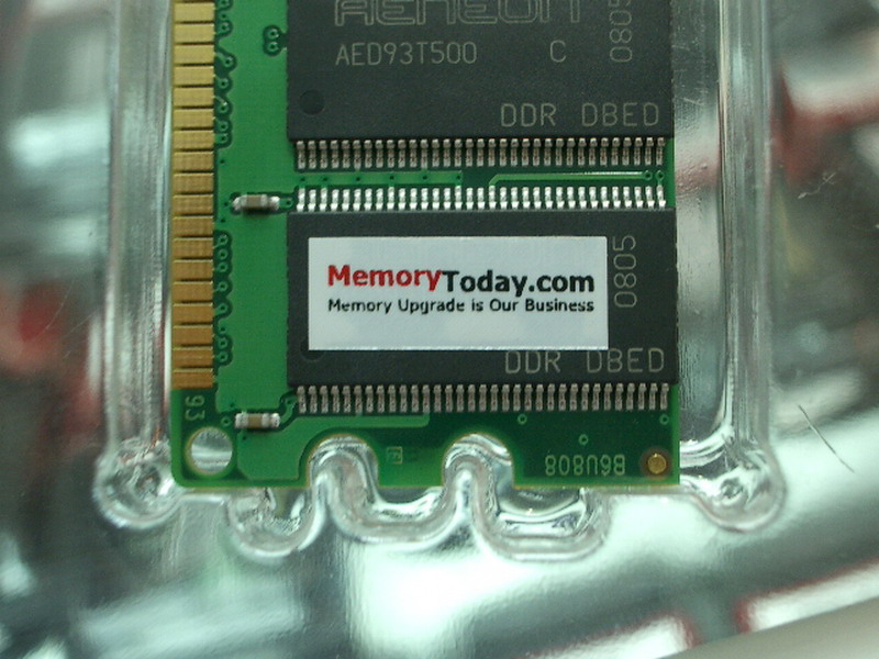 IMGP0153.JPG